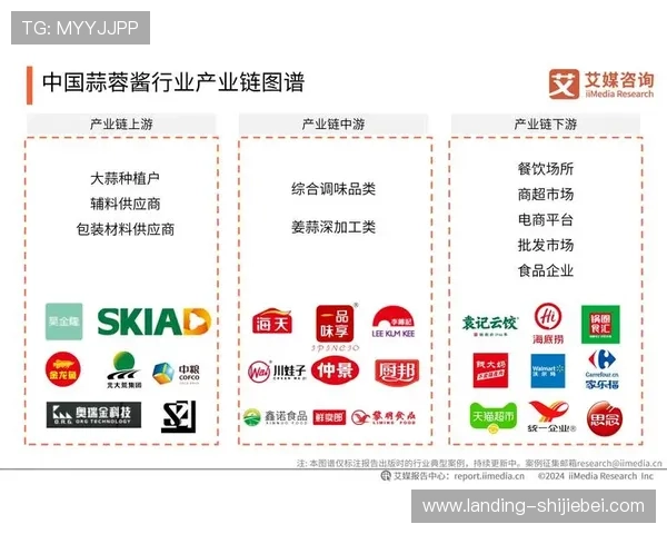 美墨加世界杯赔率分析2024年最新数据与趋势解读